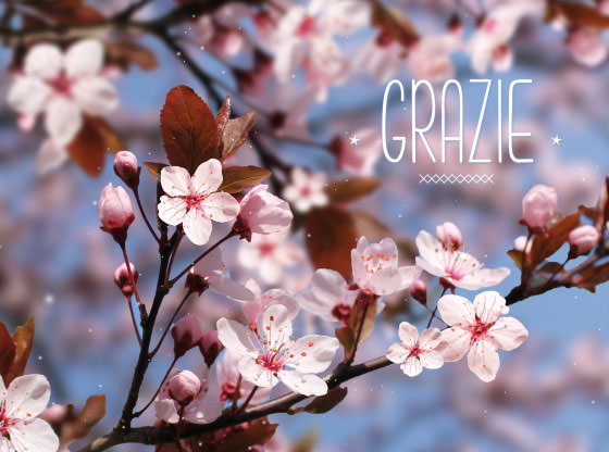 grazie